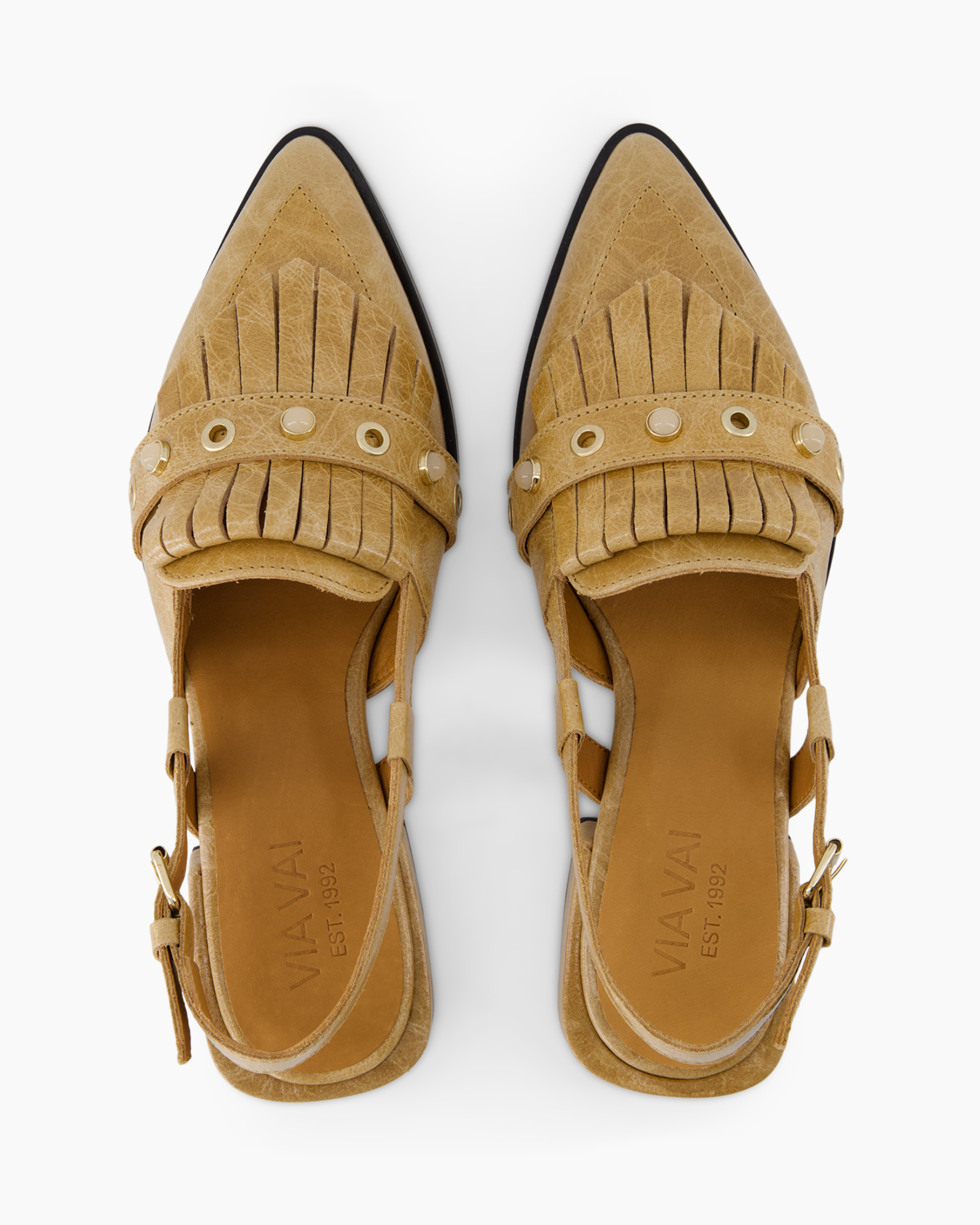 Clothing, Footwear, Sandal, Shoe