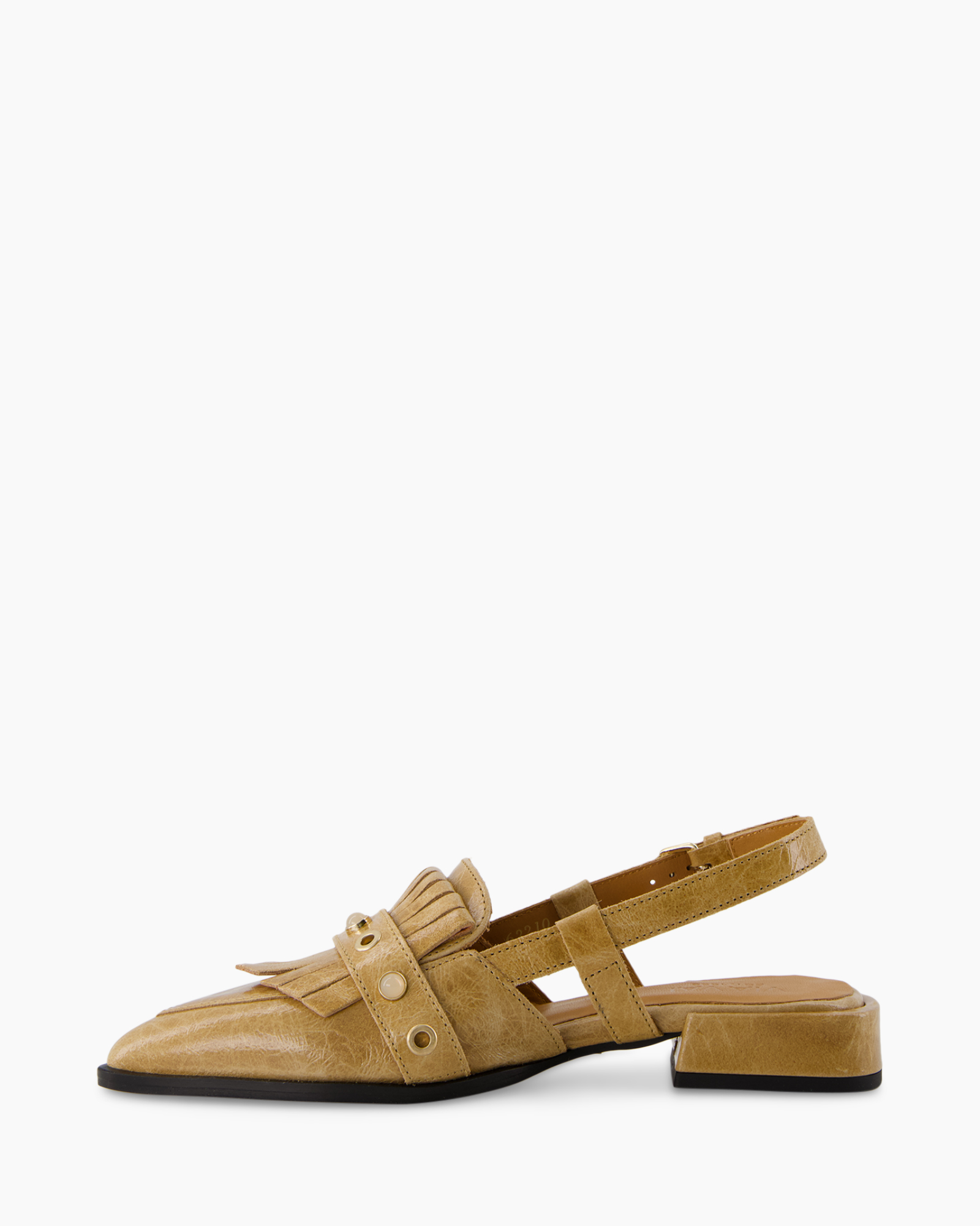 Clothing, Footwear, Sandal, Shoe