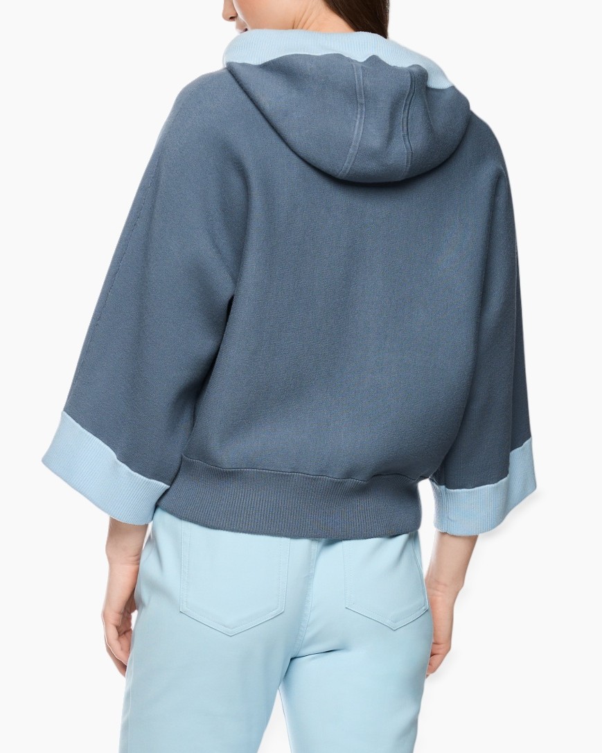 hoodie, hooded, back, blue, pants