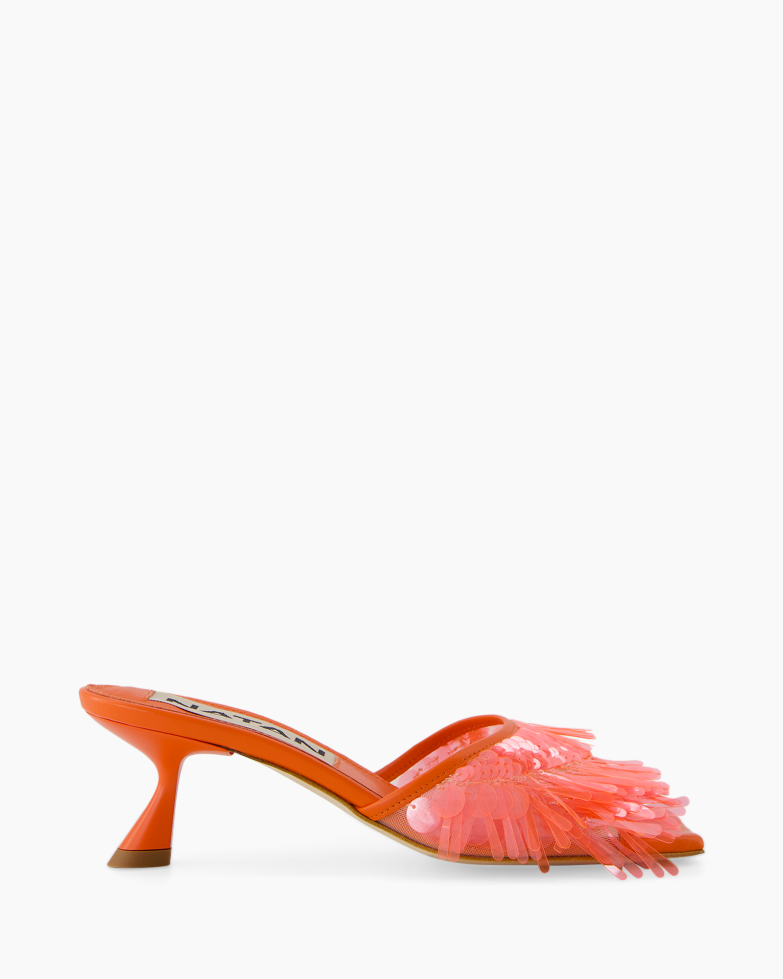 Footwear, Shoe, High Heel, Brush, Sandal