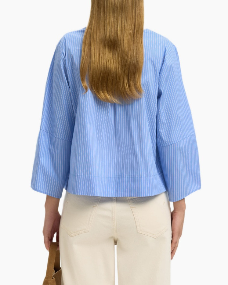 shirt, blouse, blue, striped, button-down