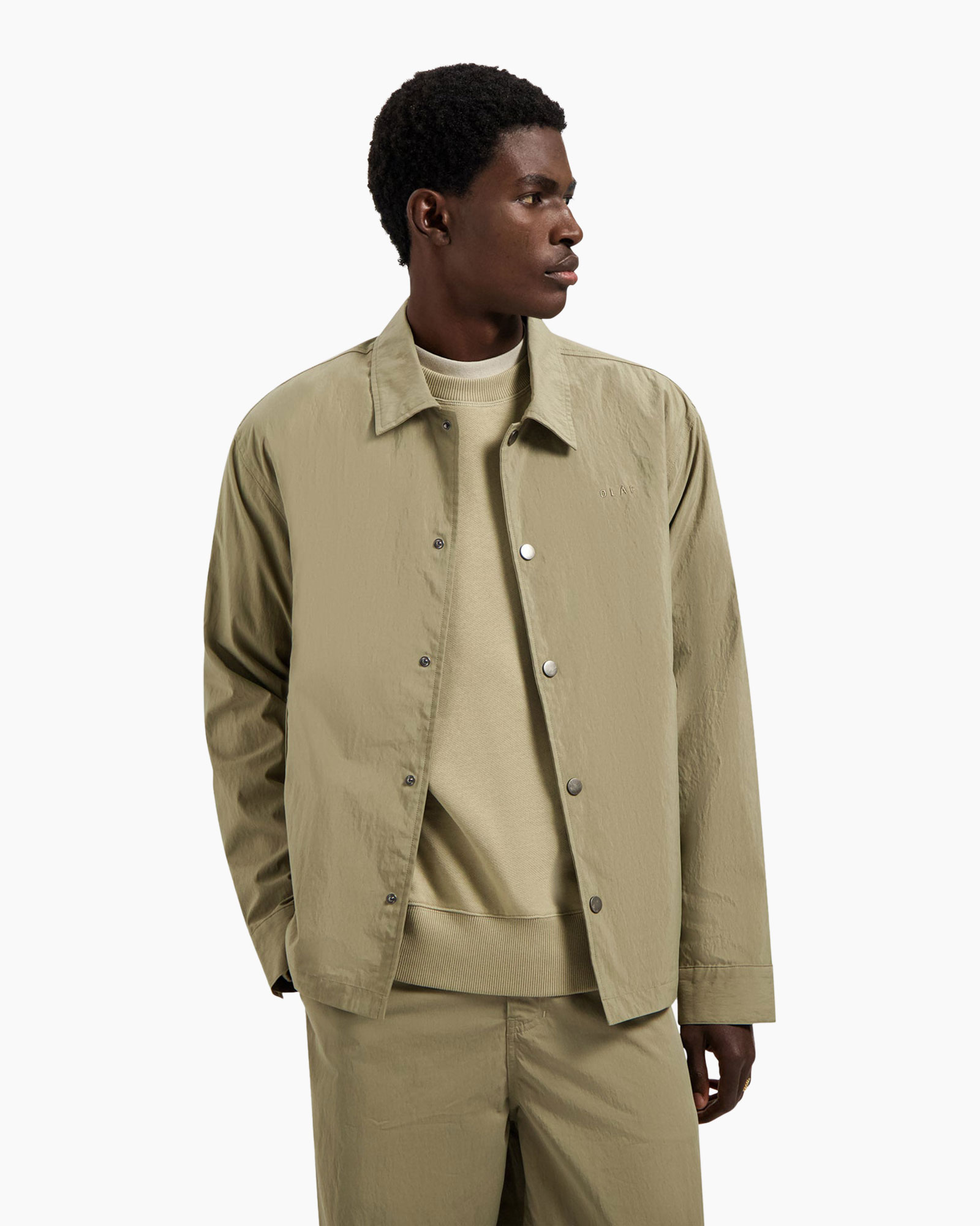 Shirt, Dress Shirt, Adult, Man, Person