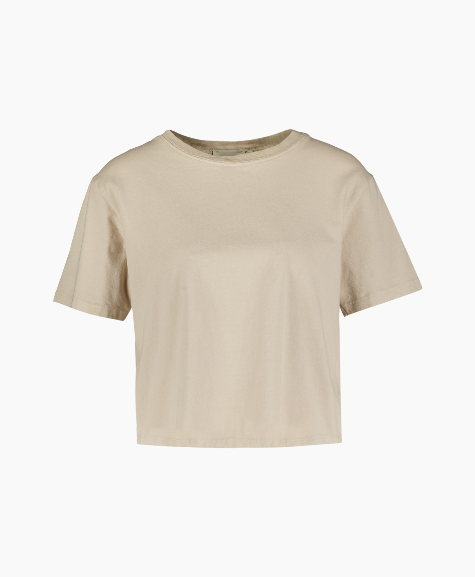 Clothing, T-Shirt