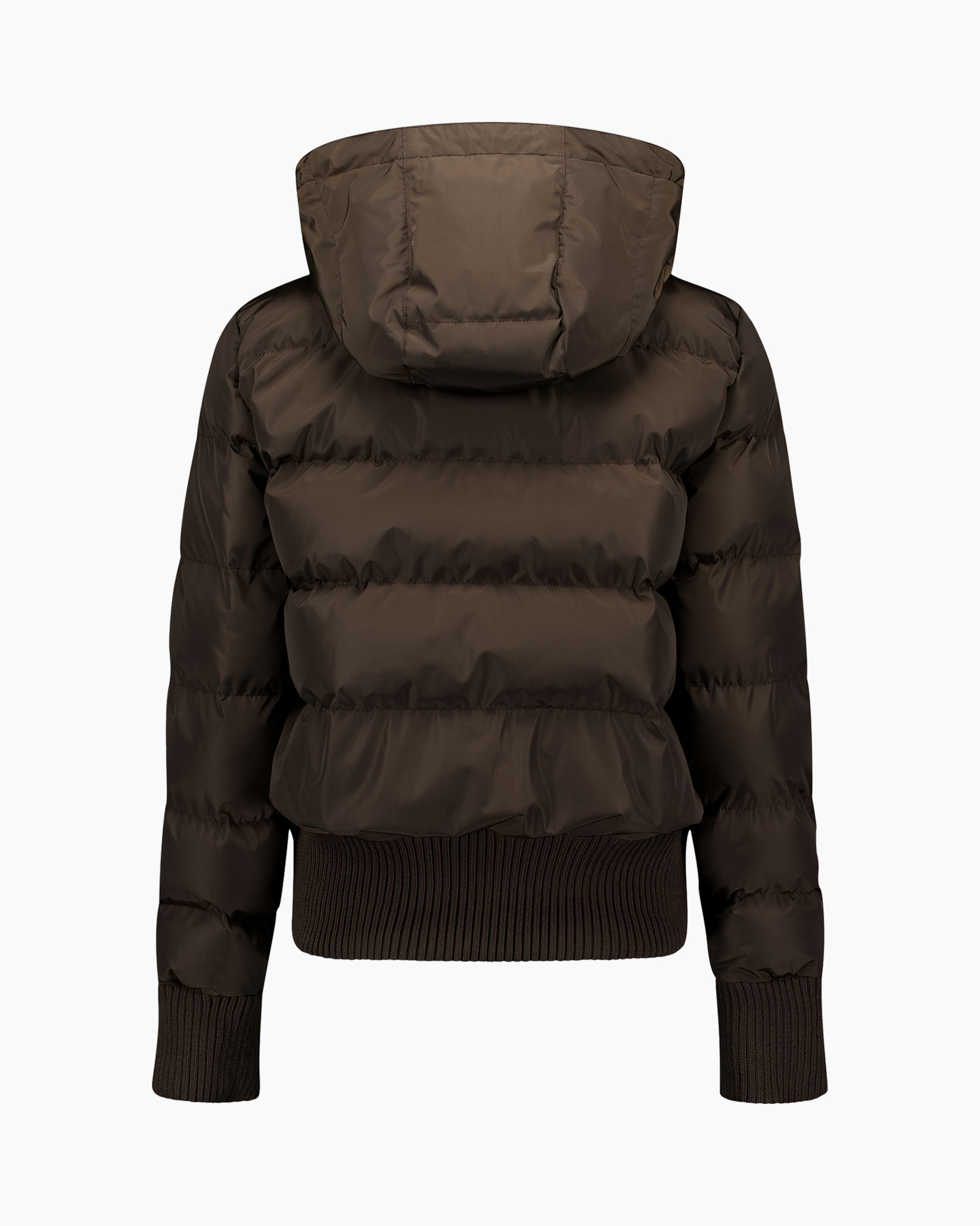puffer, hooded, jacket, brown, ribbed hem