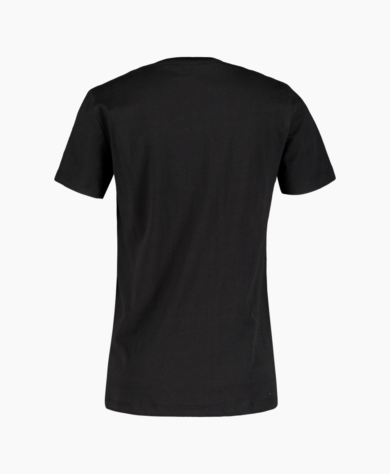 Clothing, T-Shirt