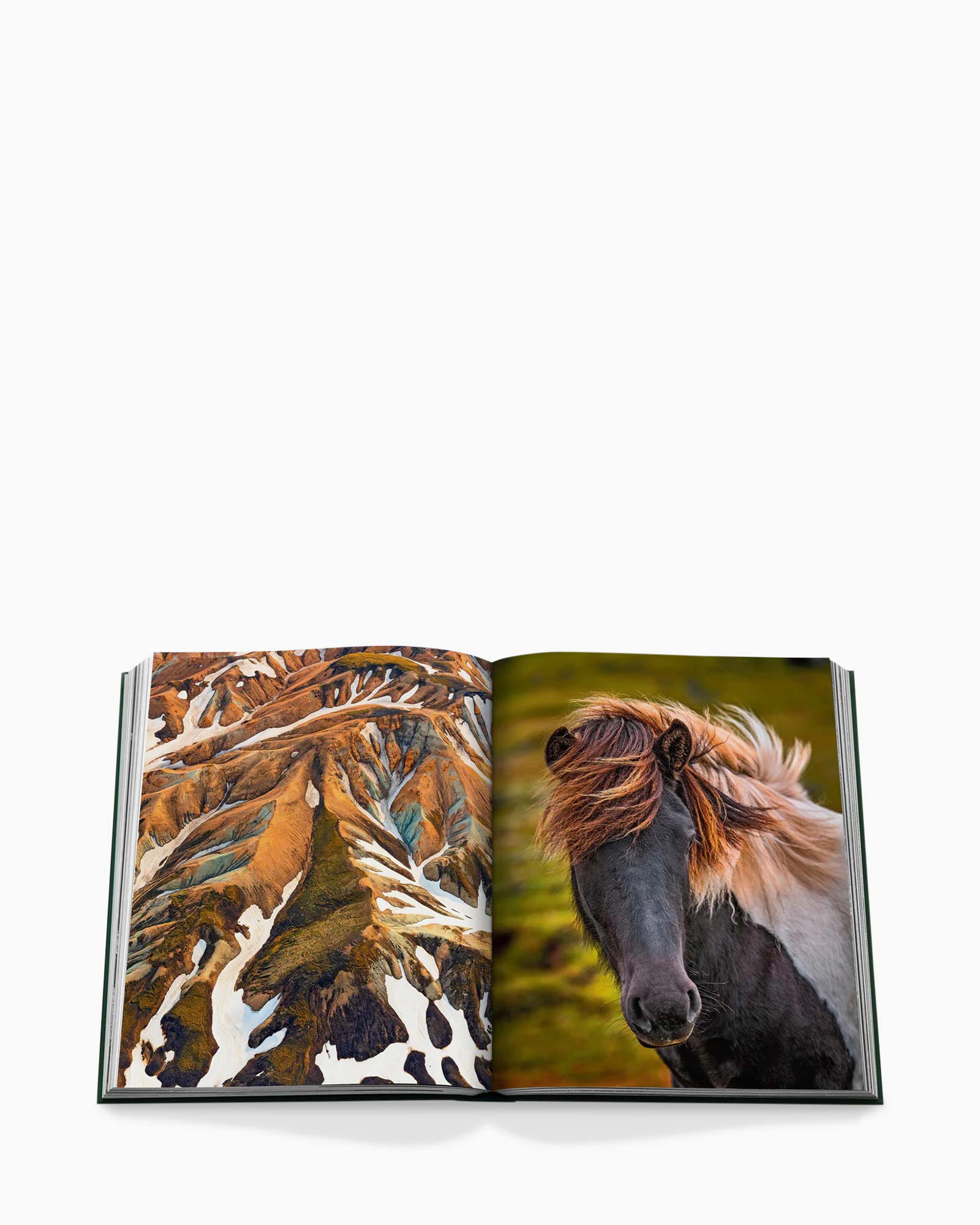 Book, Publication