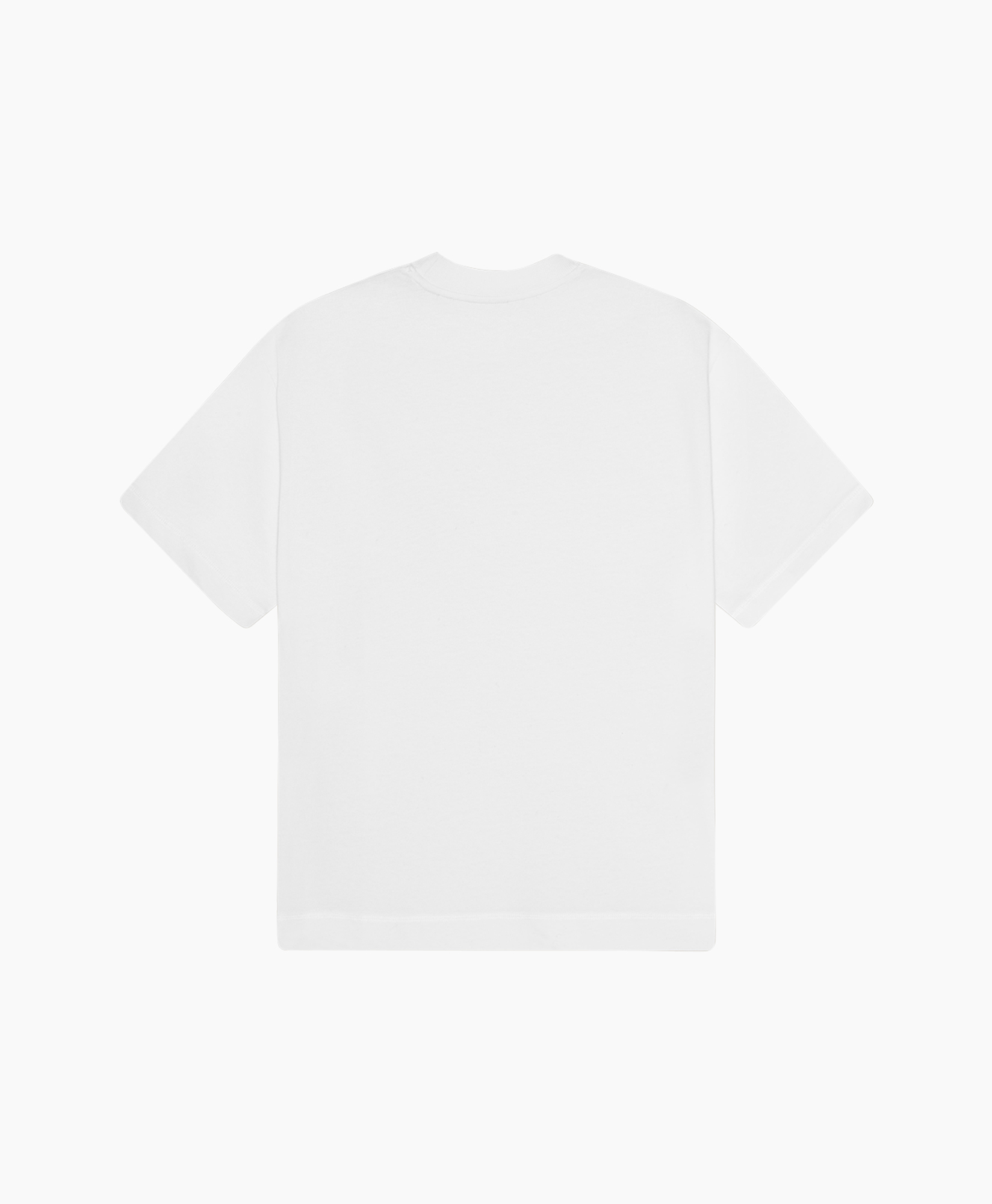 Clothing, T-Shirt