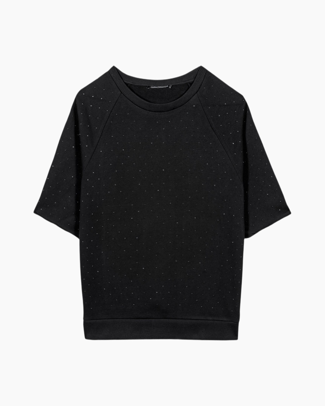 Clothing, T-Shirt, Sweater, Sweatshirt, Coat
