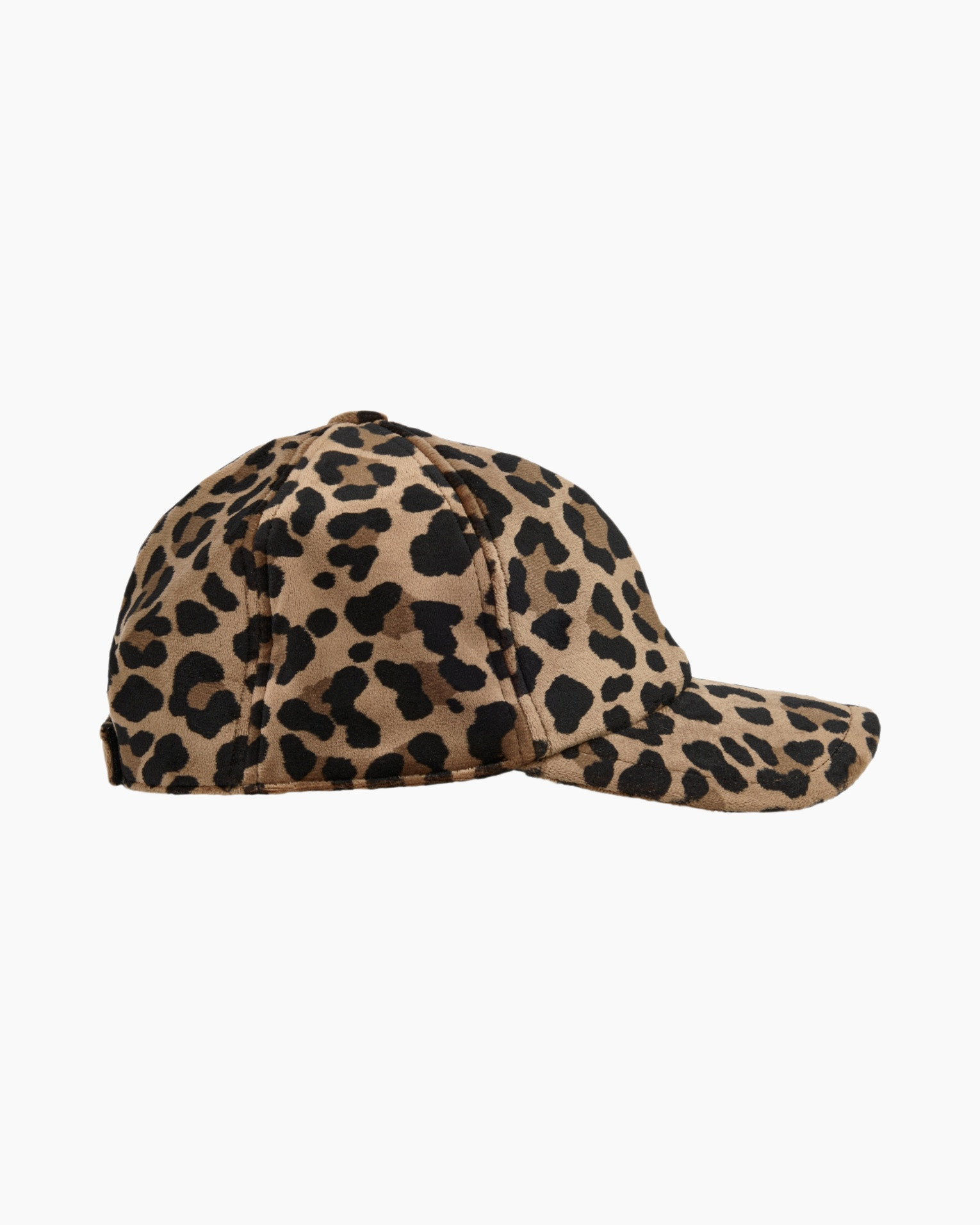 Pet Zs H2.06 Z43 Bruin dessin