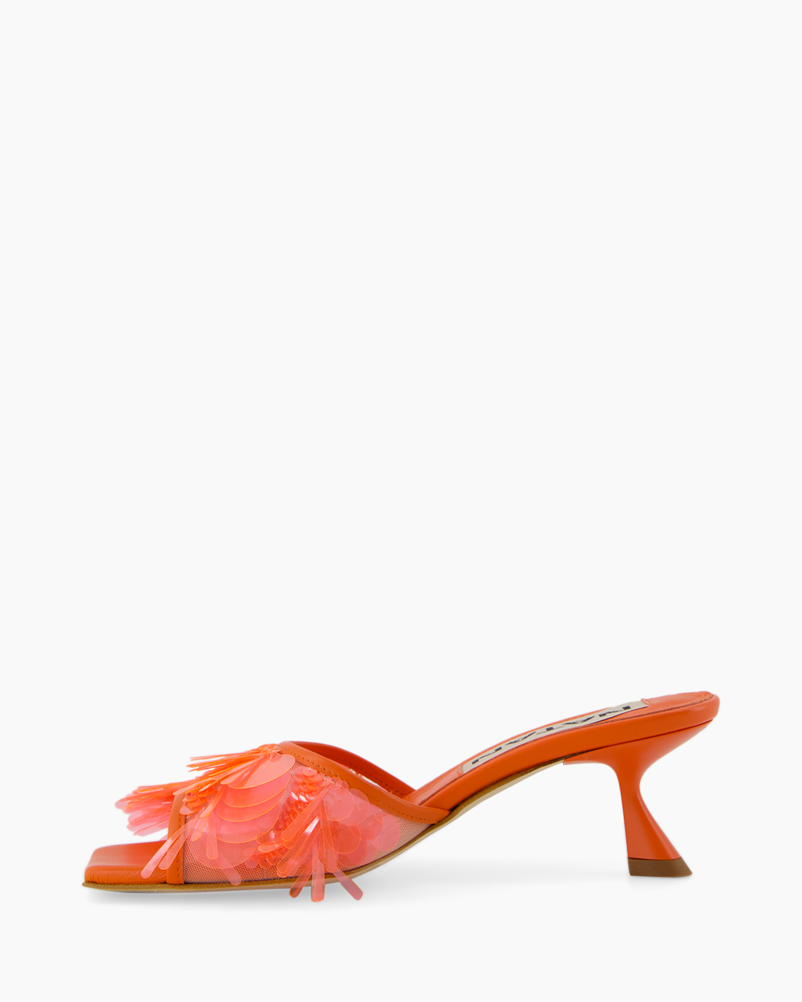 Footwear, Shoe, High Heel, Brush, Sandal