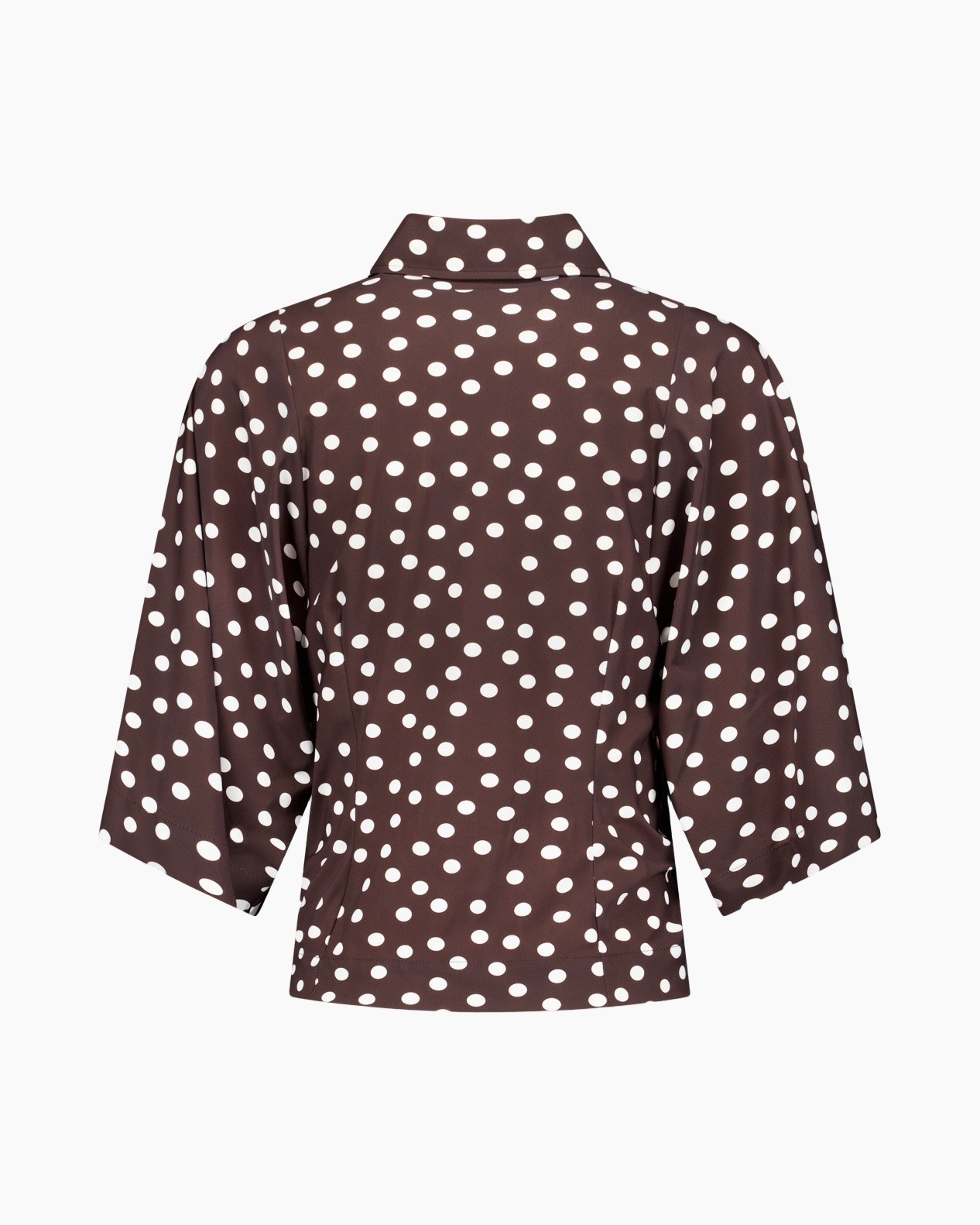 polka dot, brown, blouse, short sleeve, collar