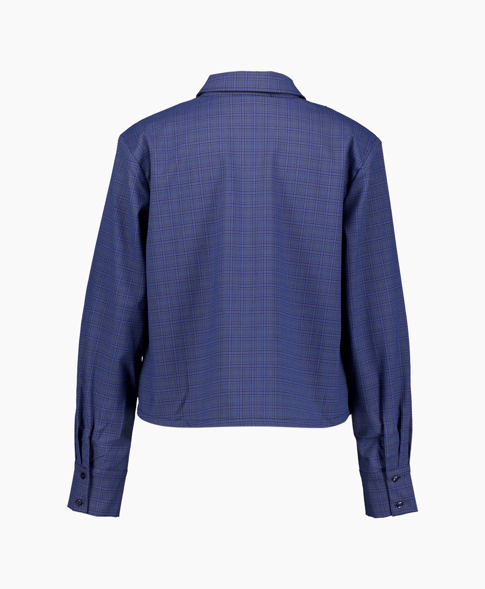 shirt, plaid, long-sleeve, blue, collar