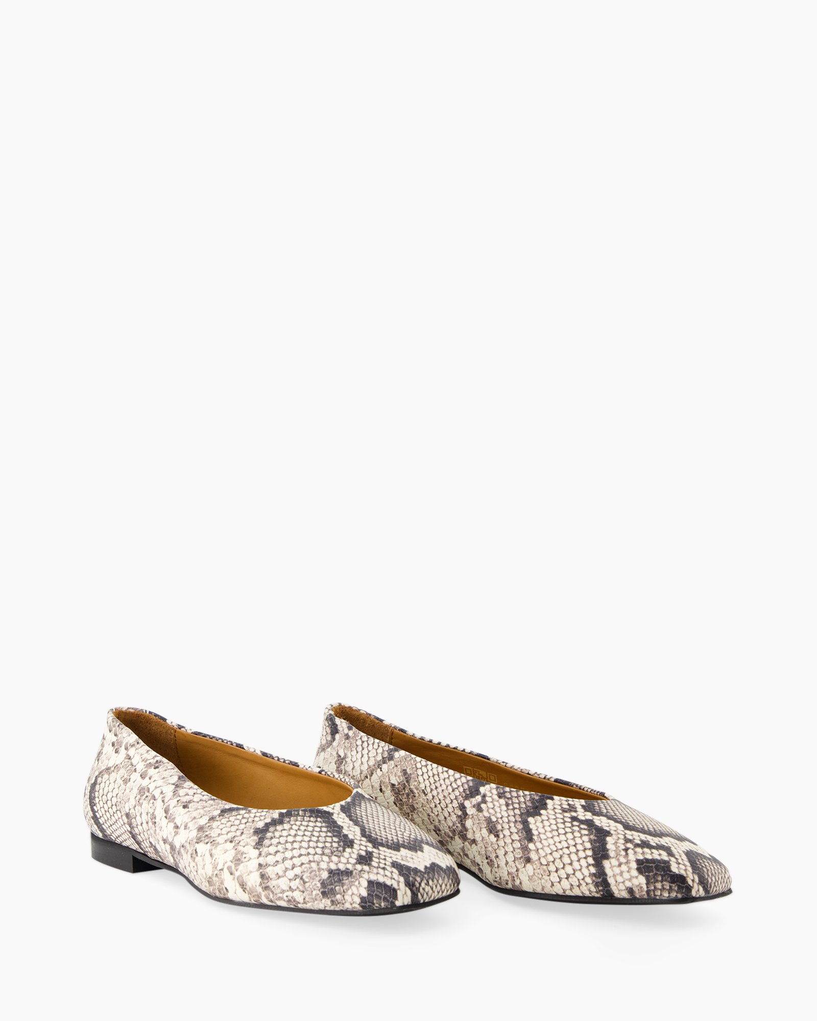 flat, ballet, snake skin, snakeskin, shoes