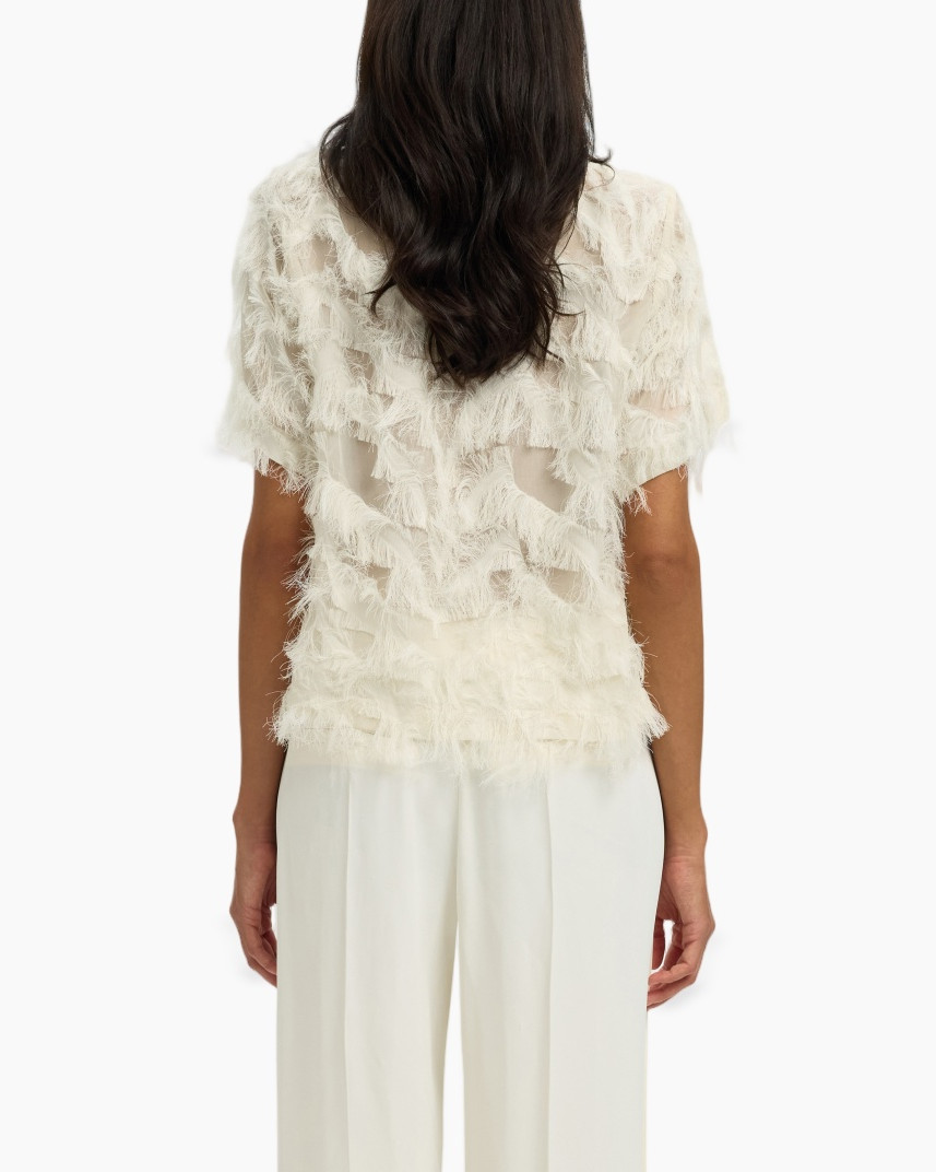 lace top, feathered, sheer, cream, short-sleeve