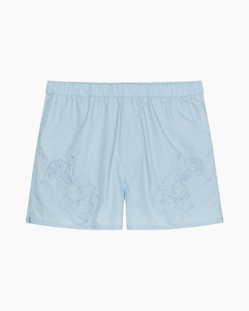 light blue shorts, elastic waistband, embroidery, shorts, drawstring pattern