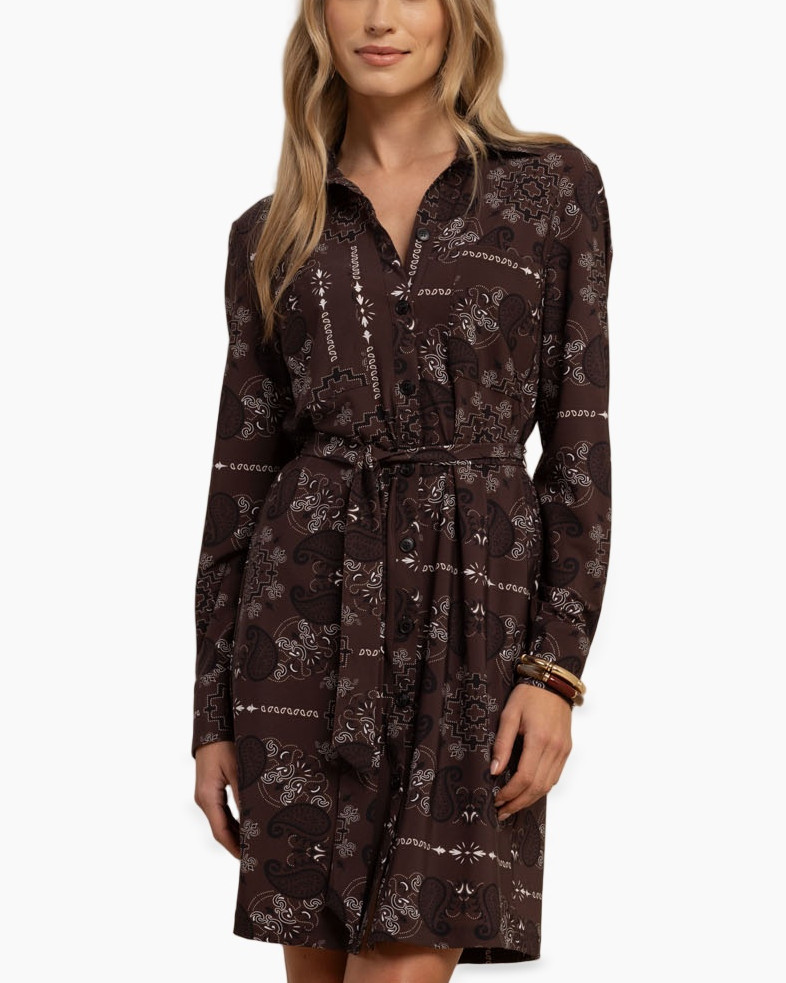 shirt dress, patterned, belted, long sleeve, brown