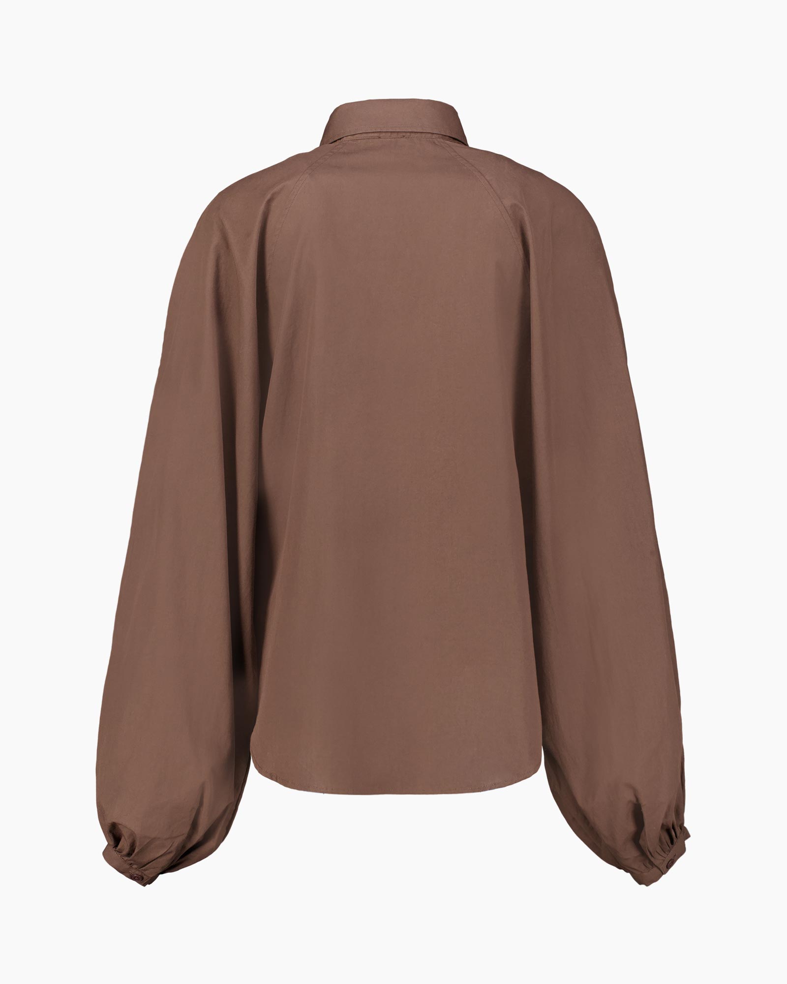 button-down, long-sleeve, brown, collar, back-view