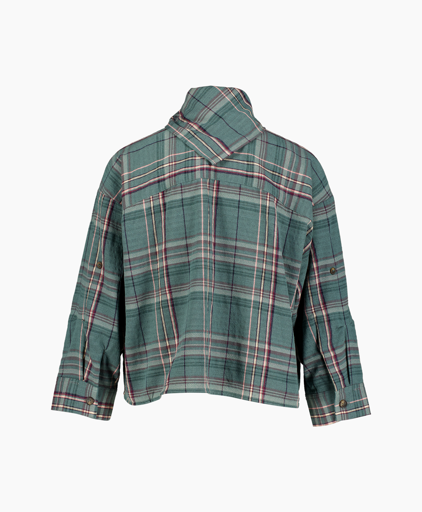 plaid shirt, green plaid, long sleeve, collar, back view