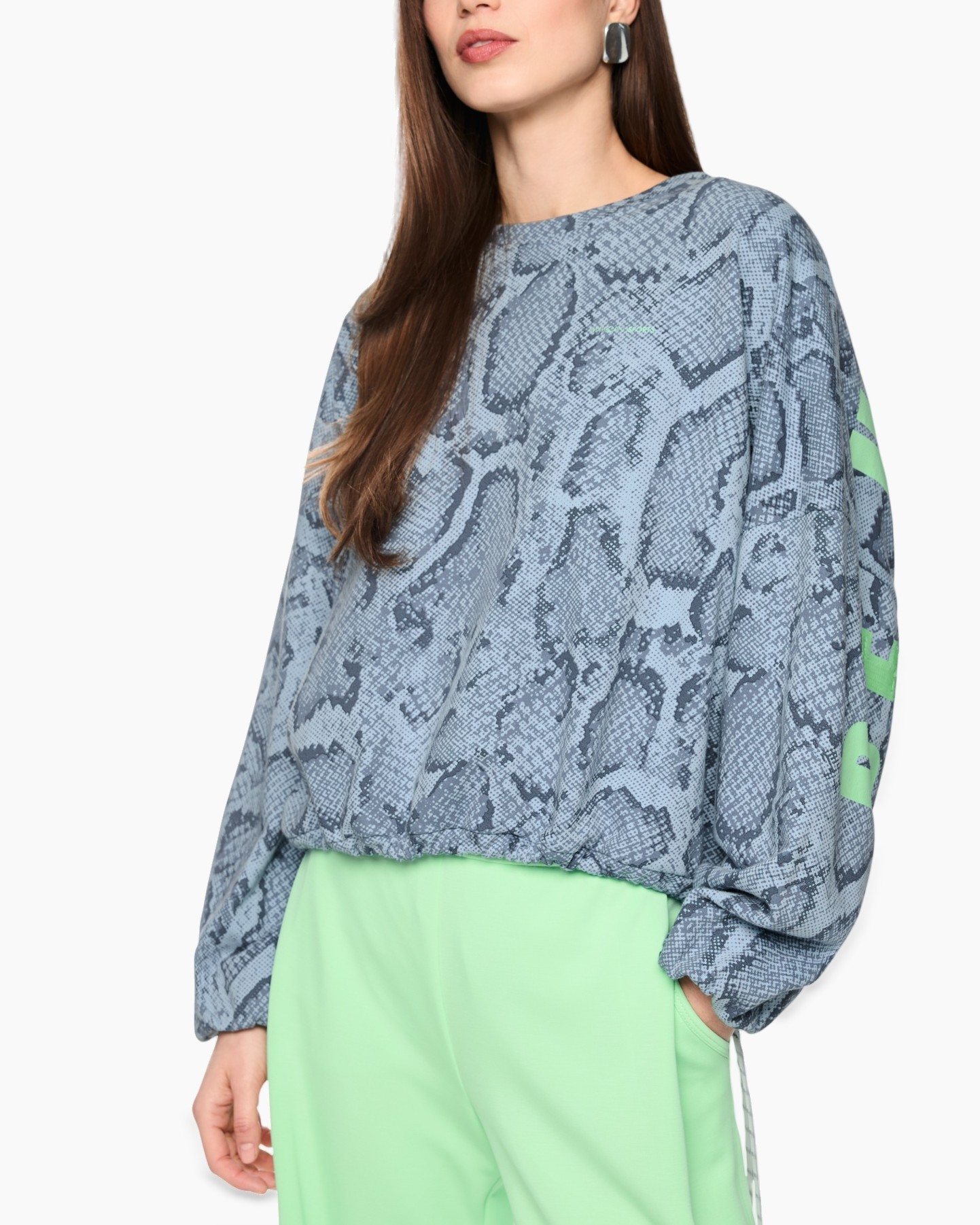 sweatshirt, snake print, blue, long sleeve, elastic hem