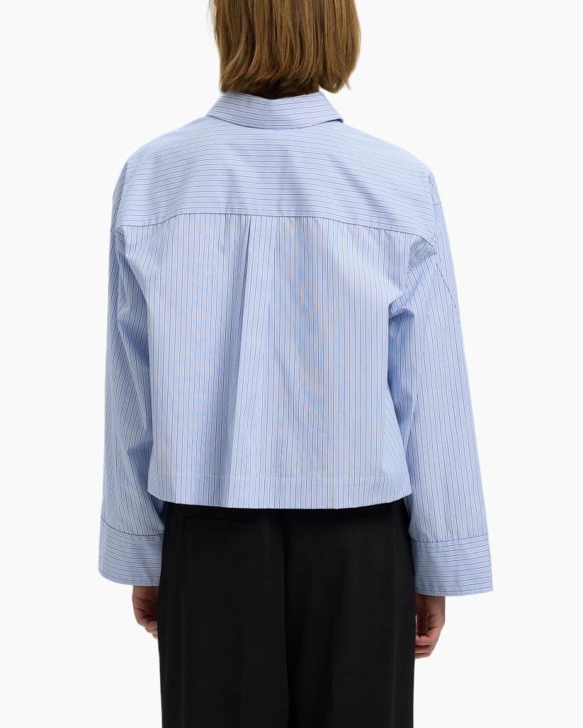 striped shirt, blue shirt, long sleeve, collared shirt, back view