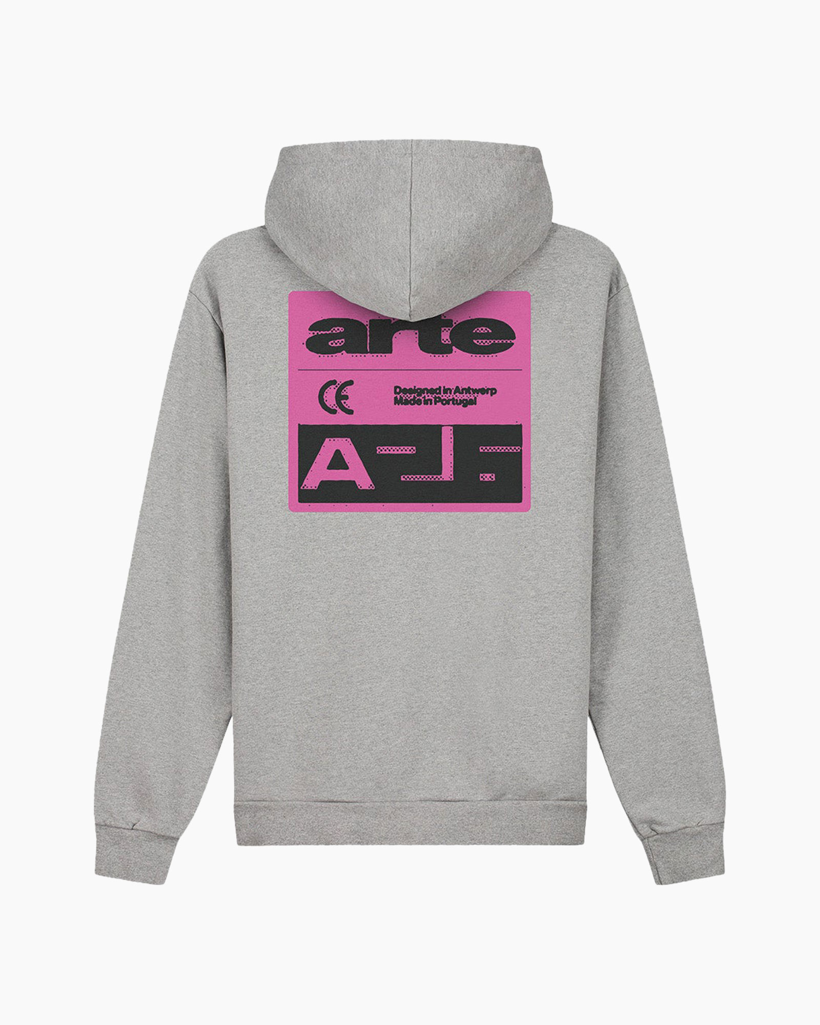 hoodie, gray, graphic, printed, backprint
