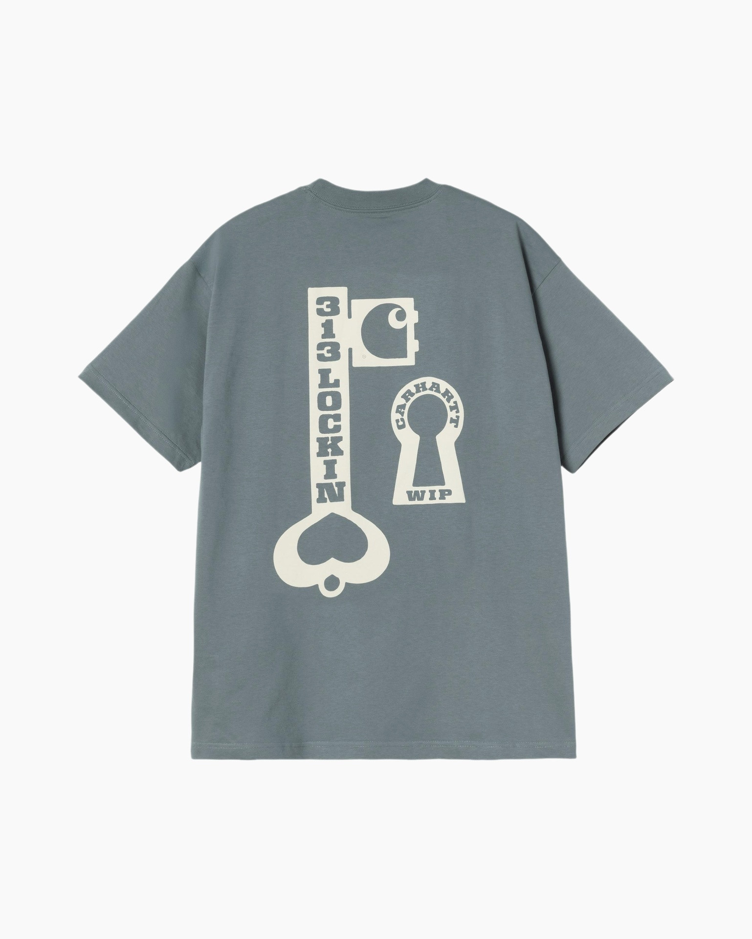Clothing, T-Shirt
