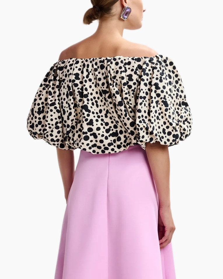 Blouse, Adult, Female, Person, Woman