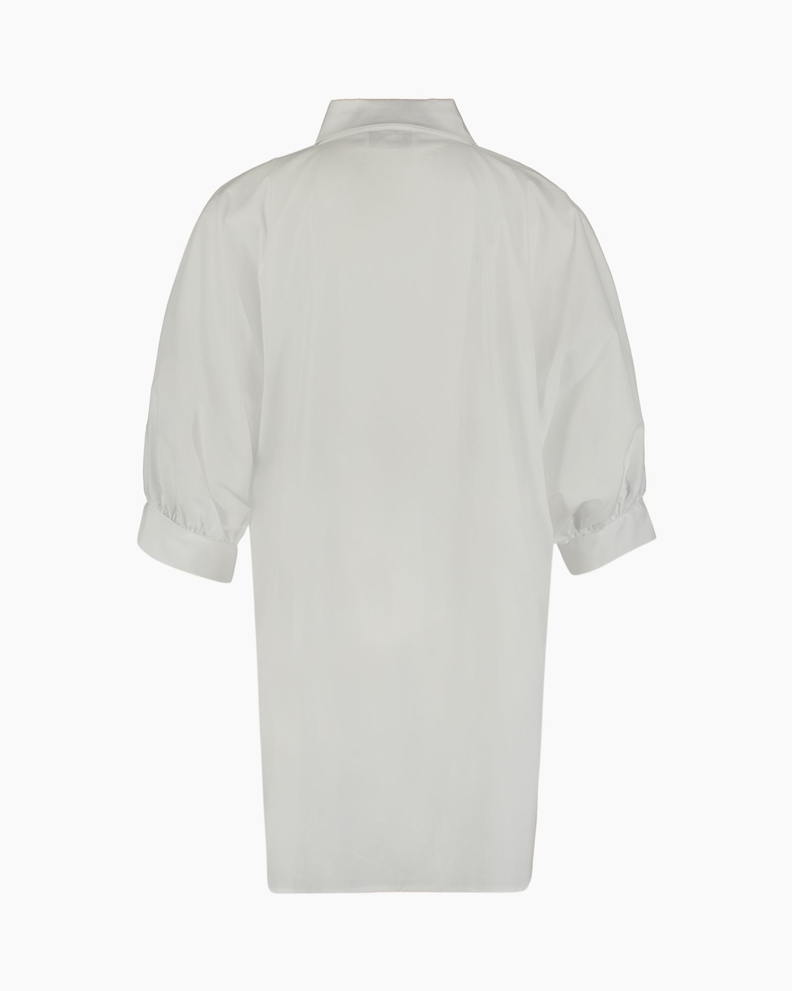 Clothing, Shirt, Blouse, Dress Shirt, Long Sleeve