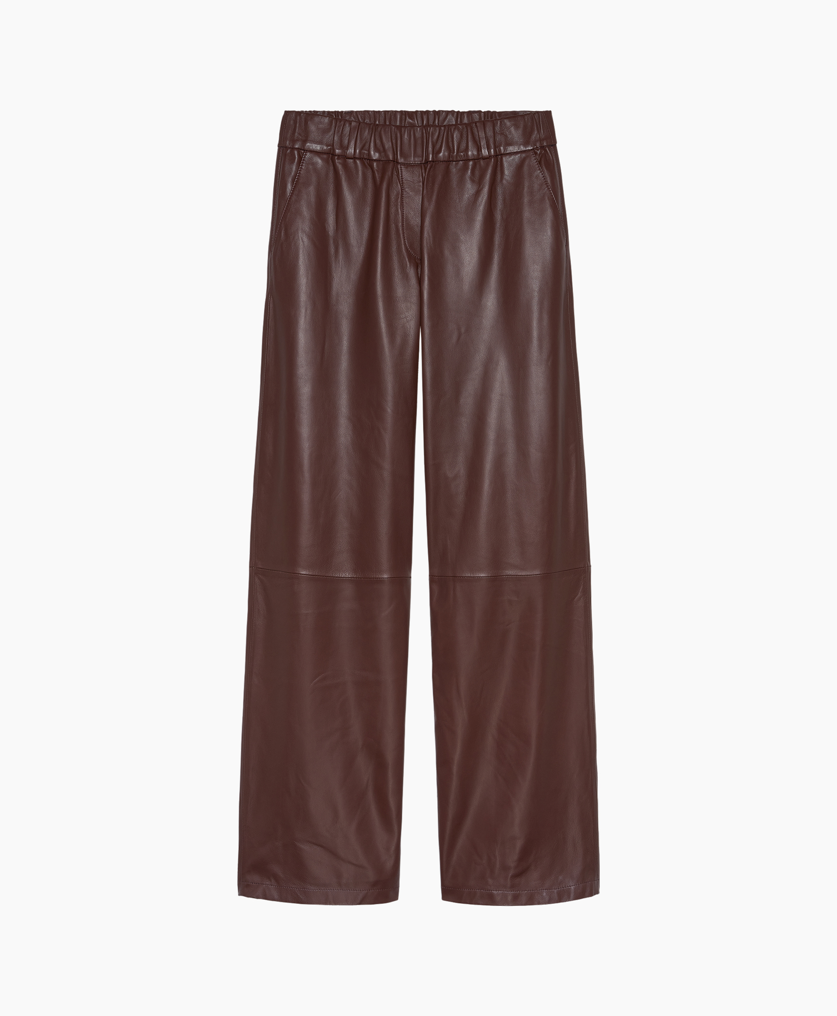Clothing, Pants, Shorts