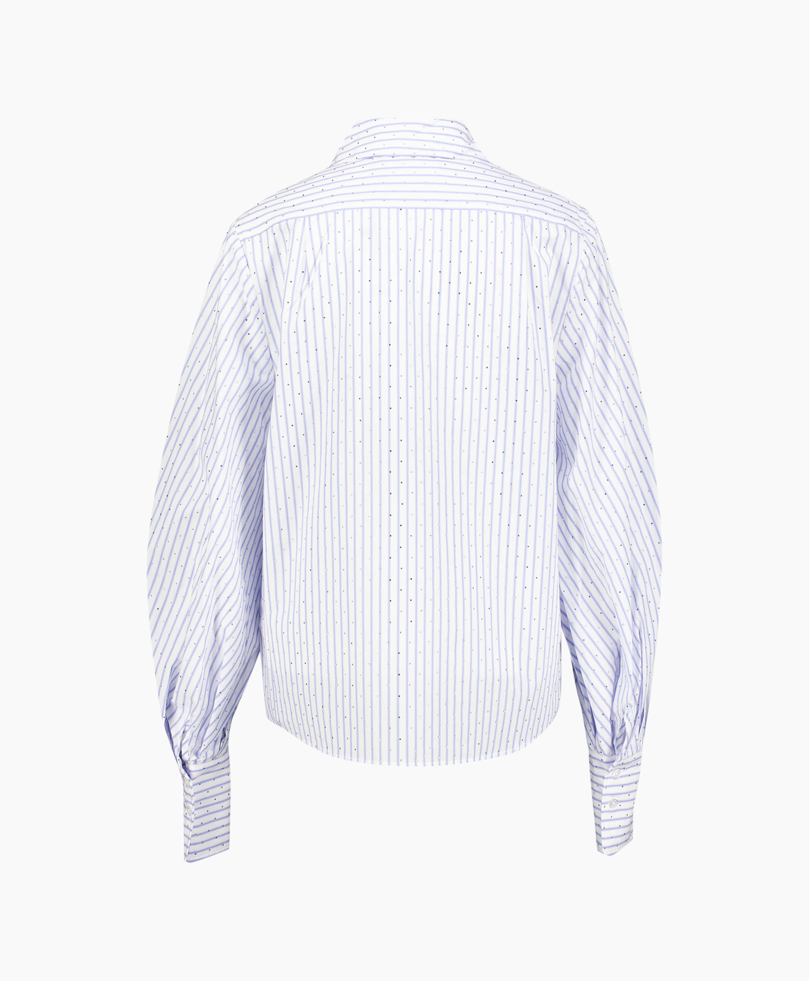 shirt, striped, blue, collar, back view