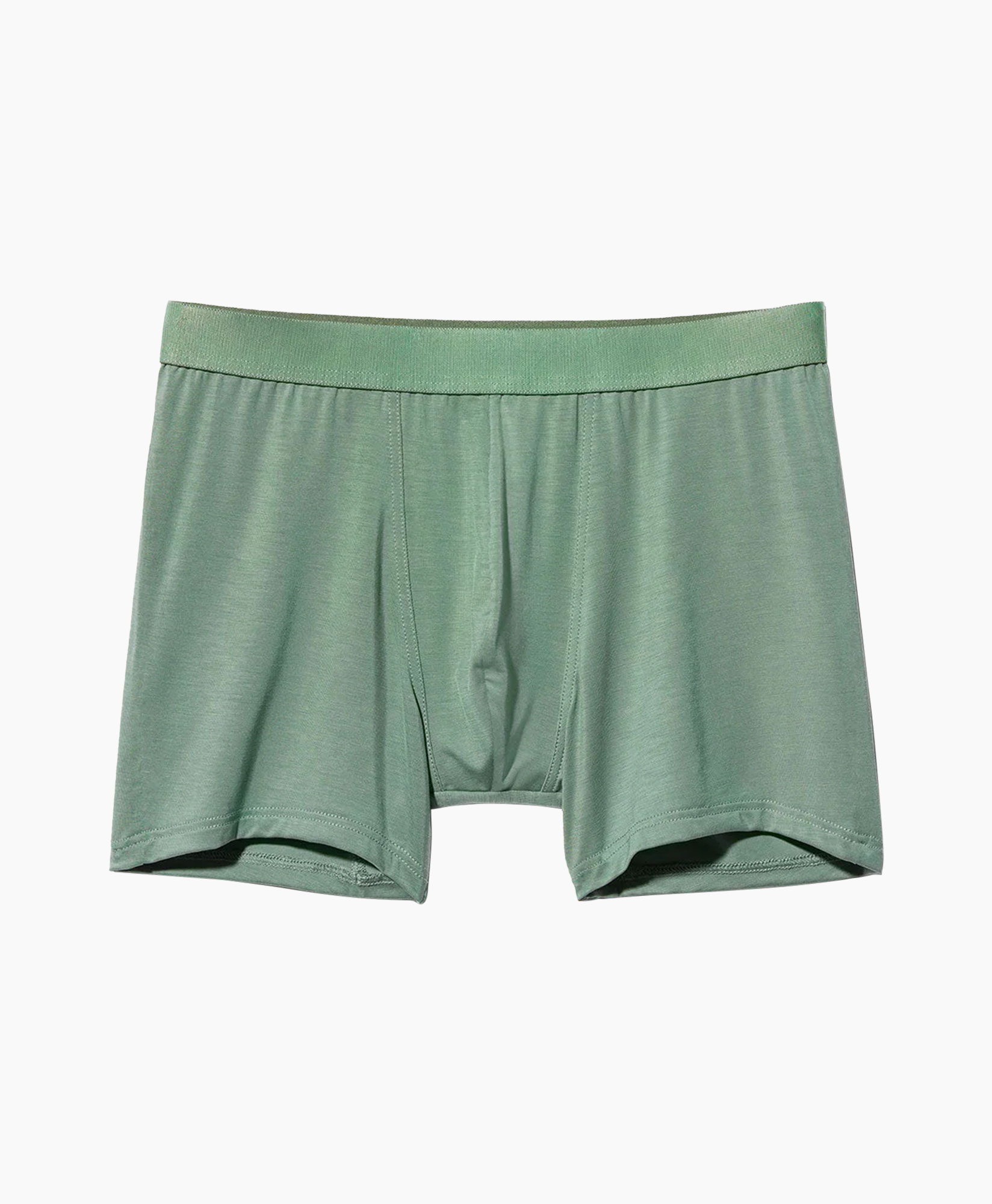 Clothing, Underwear, Shorts