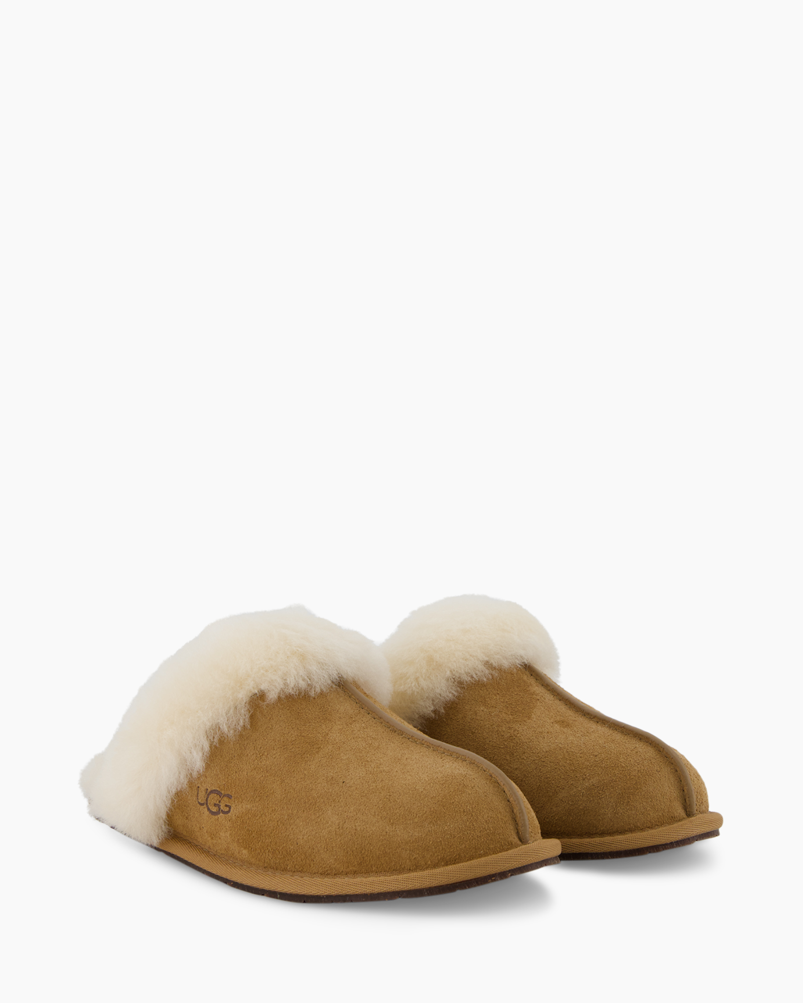 Clothing, Footwear, Shoe
