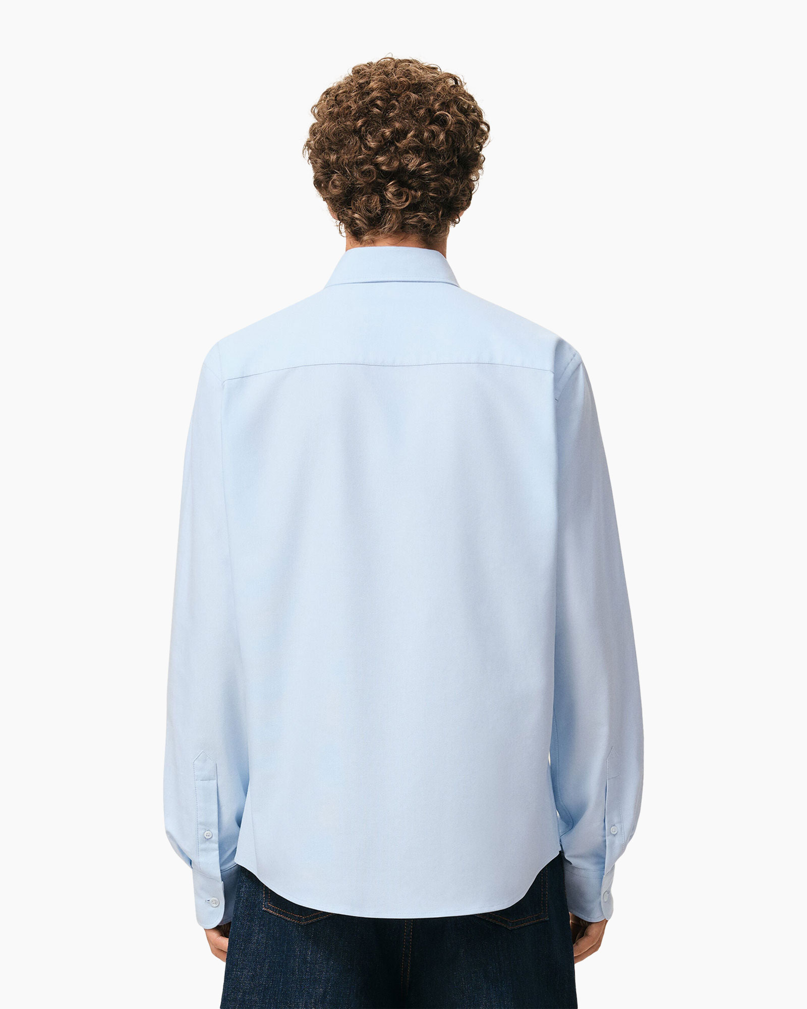 Shirt, Long Sleeve, Dress Shirt, Man, Person