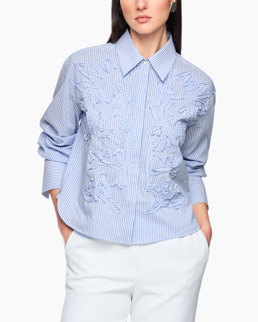 Blouse, Clothing, Shirt, Dress Shirt