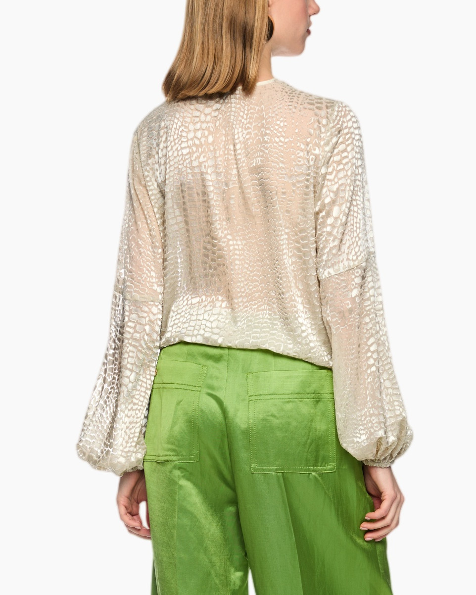 blouse, sheer, v-neck, longsleeve, neutral